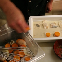 photo de l'étape 11